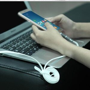 کابل دو کاره تایپ سی و میکرو یو اس بی نیلکین Nillkin Plus Cable