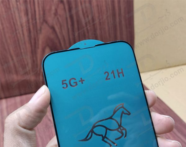 محافظ صفحه نمایش شیشه‌ای iPhone 13 Pro مدل 21H