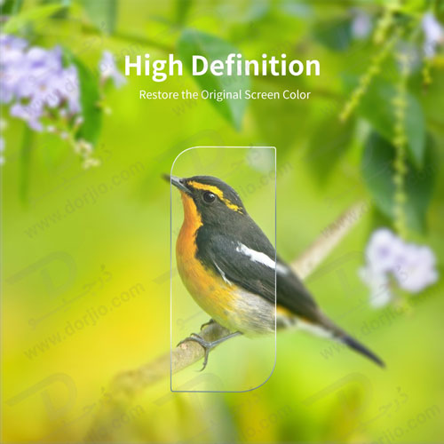 گلس لنز شیشه‌ ای دوربین سامسونگ Galaxy S21 FE