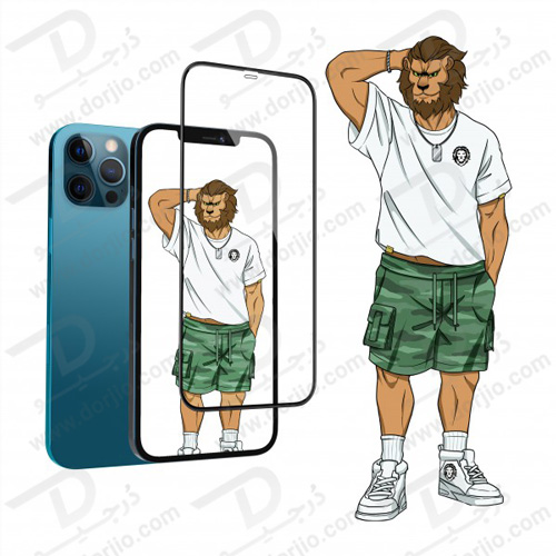 گلس فریم سیلیکونی iPhone 12 Pro مدل Green 3D Silicone HD Glass