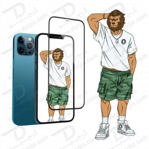 گلس فریم سیلیکونی iPhone 12 Pro Max مدل Green 3D Silicone HD Glass