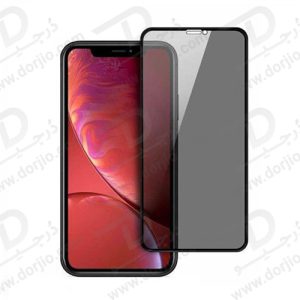 گلس حریم شخصی iPhone 12 Pro مدل Green 3D PET Privacy Glass