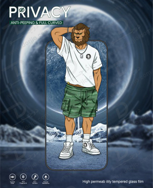 گلس حریم شخصی فریم سیلیکونی iPhone 12 Pro Max مدل Green 3D Silicone Privacy Glass