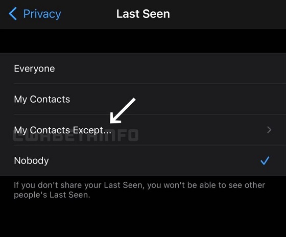 Whatsapp PRIVACY SETTINGS MY CONTACTS EXCEPT IOS.jpg