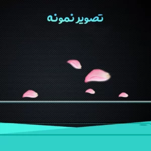 خرید گلس شفاف پشت گوشی Sony Xperia Z5