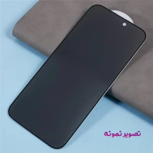 گلس Privacy حریم شخصی iPhone 17-Dorjio